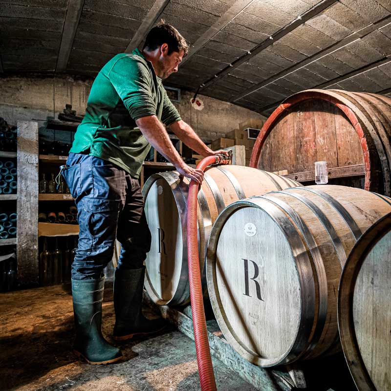 La Royère Huile & Vin Bio - Miel de Lavande de Sault